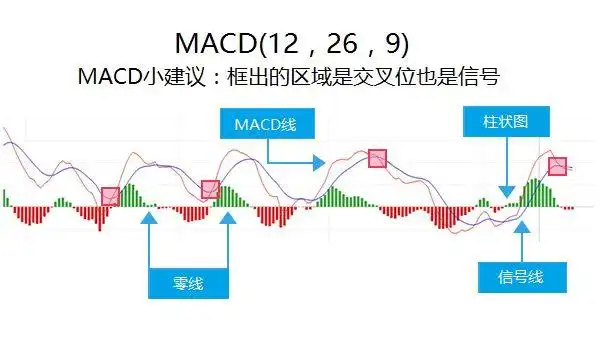 以交易为生2 强力指标_MACD移动平均线RSI应用_外汇交易简单指标策略