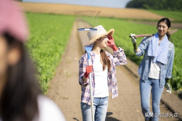 大学生保护工资有期限吗_大学生暑期工16000元_义乌雇主诚信高温补贴