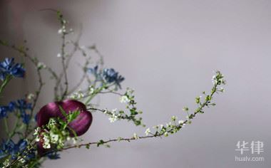 公司破产负债怎么形成的