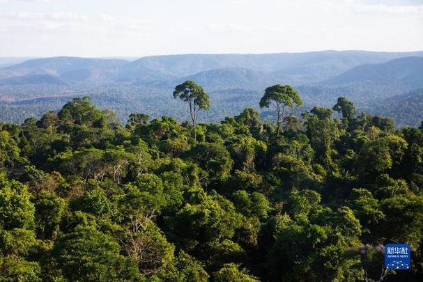 淡水河谷高管卢西亚娜·布鲁姆专访_中国绿色低碳发展合作_淡水河谷股票