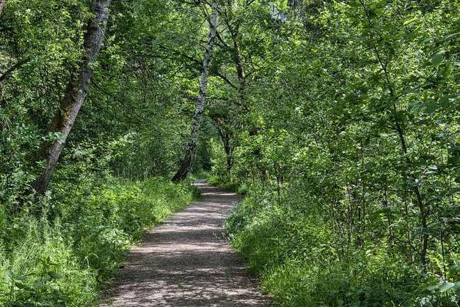 股票基本面分析教程_庄家打压股价策略_庄家获取筹码技巧