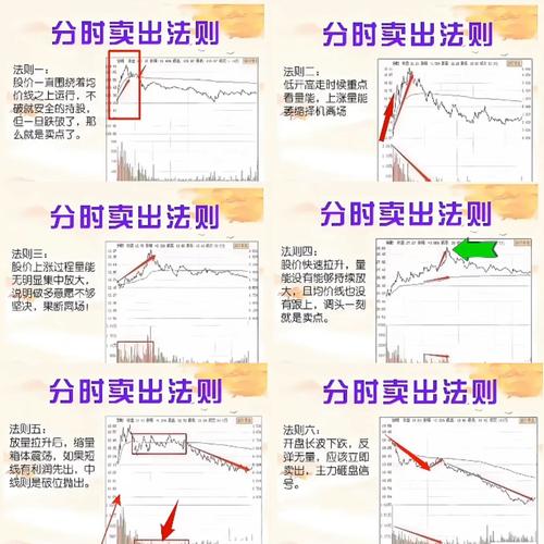 ETF与股票的区别_新手投资ETF_怎么买新股票代码