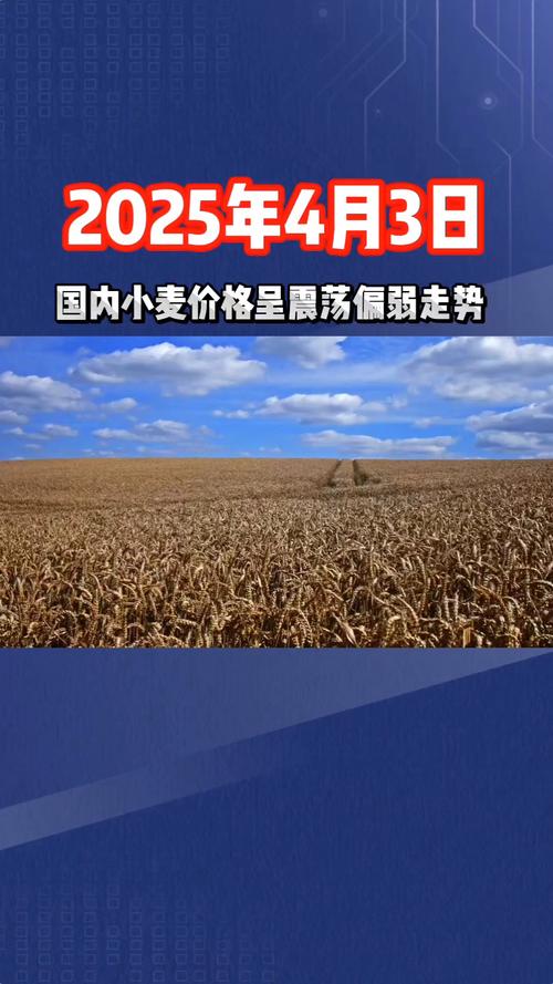 粮价持续上涨_小麦临储拍卖行情_中国玉米网价格行情发布