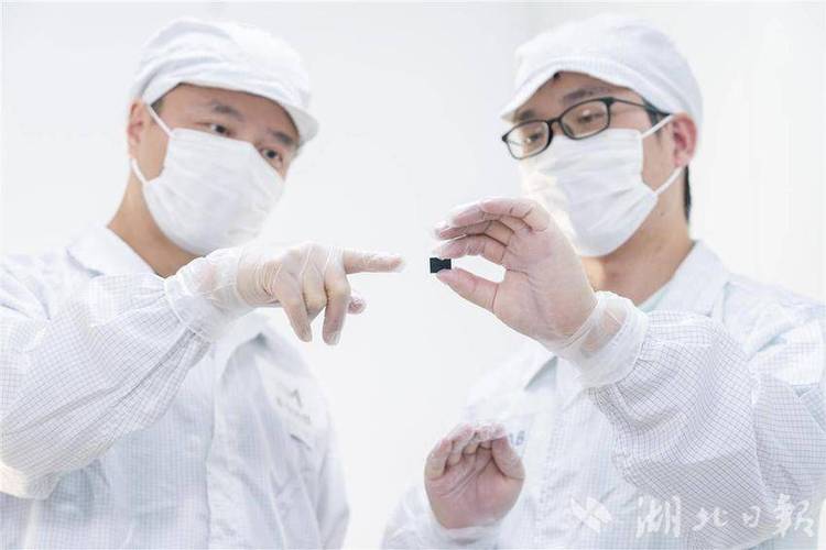 存储芯片厂家_芯片存储公司_芯片存储厂家有哪些