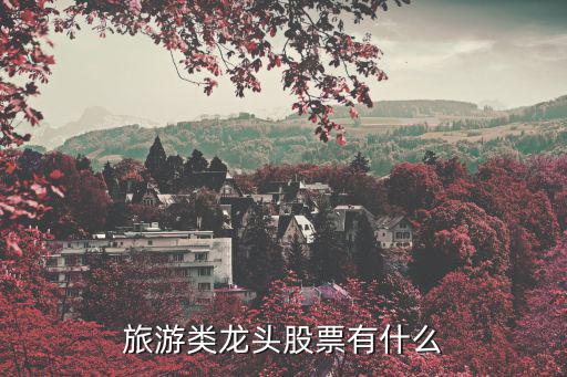 旅游类龙头股票有什么
