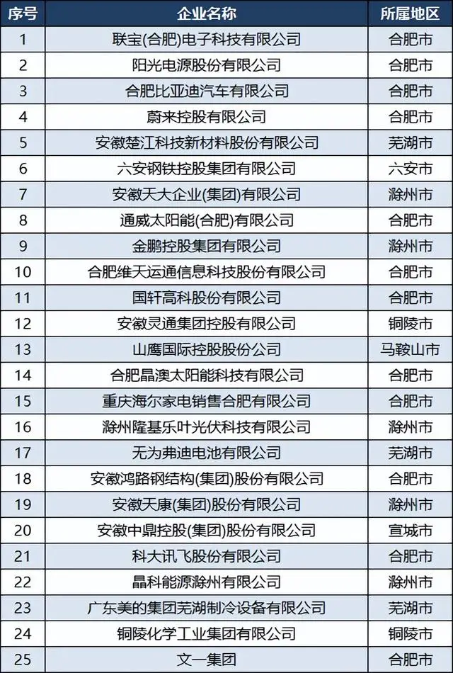 2024中国民营企业500强排行榜 安徽 2024安徽民营企业100强名单 皖企发展情况_合肥有哪些股份有限公司