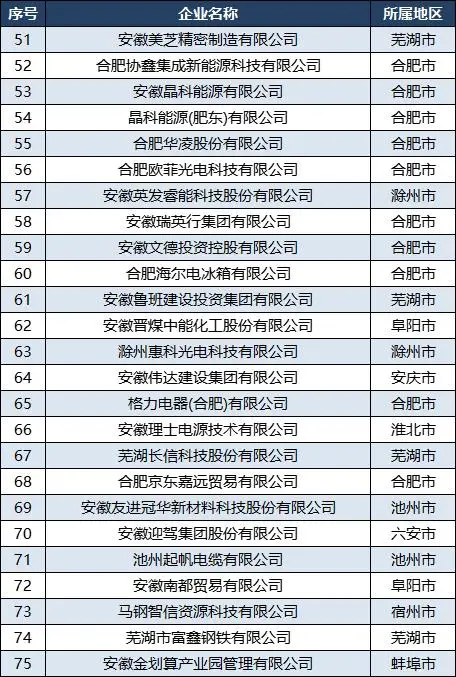 合肥有哪些股份有限公司_2024中国民营企业500强排行榜 安徽 2024安徽民营企业100强名单 皖企发展情况