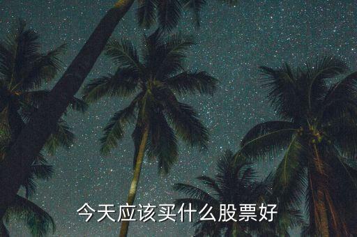 今天应该买什么股票好