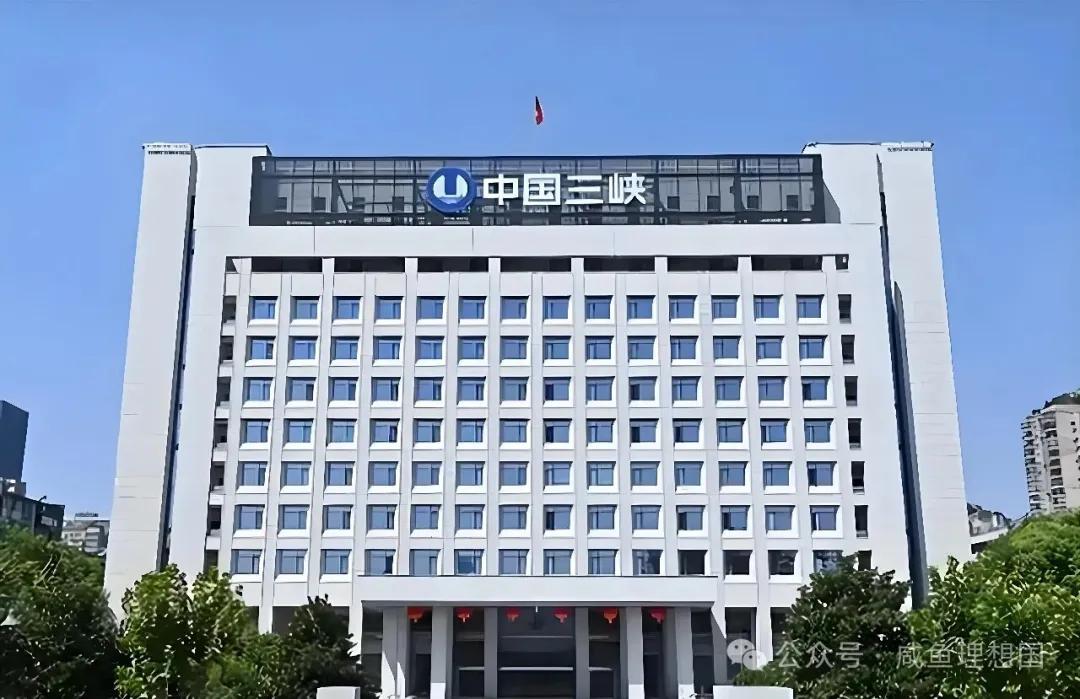 华能集团2026年招聘_白勇 中国华能集团 跨界能源高管