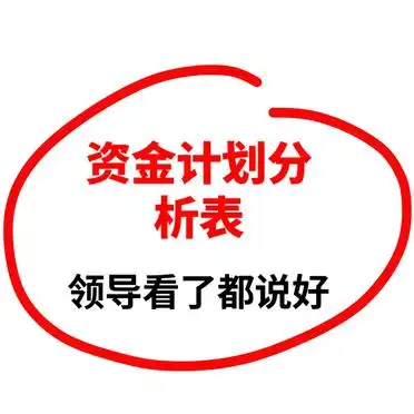 资金计划预实对比分析_资金计划分析表示例_简单资金平衡表