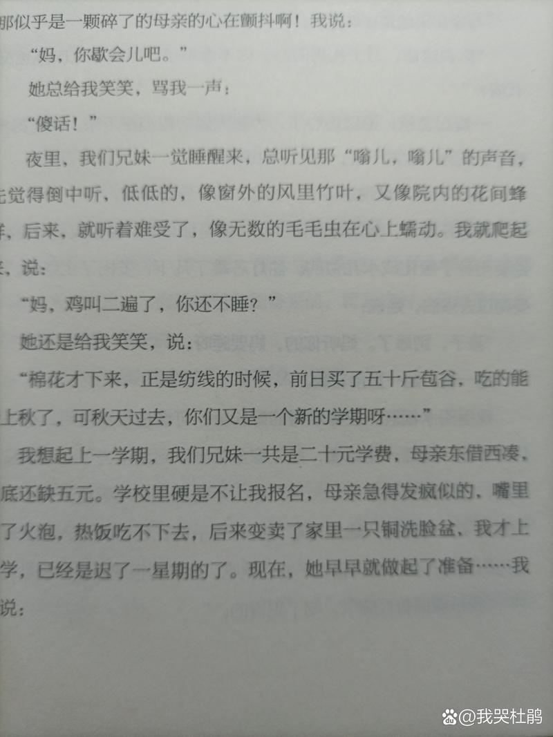 当代著名作家及作品_贾平凹散文代表作_当代散文作家排名