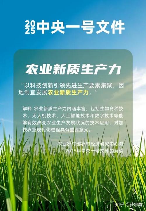 粮食生产丰收情况分析_合作社带动作用_中国农业农村发展2025年目标
