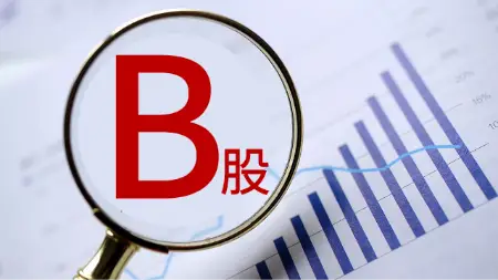 股票投资基础知识_A股B股H股N股S股区别_怎么知道股票是沪深